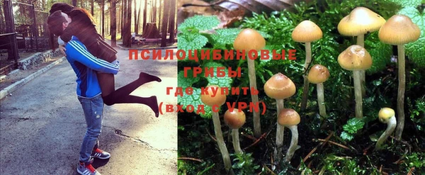 герыч Тихвин