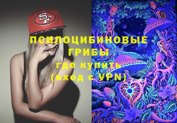 хмурый Сафоново