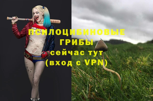 хмурый Сафоново
