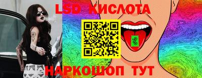 прущие грибы Канаш
