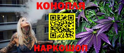 прущие грибы Канаш