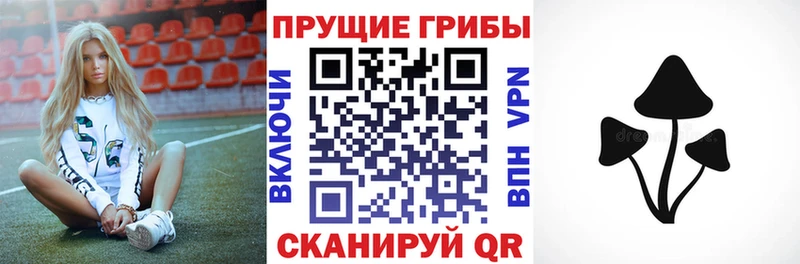 ОМГ ОМГ tor  Первоуральск  Галлюциногенные грибы ЛСД 