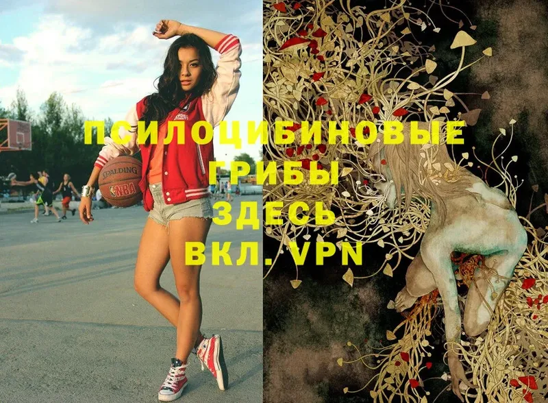 Псилоцибиновые грибы мухоморы  Первоуральск 
