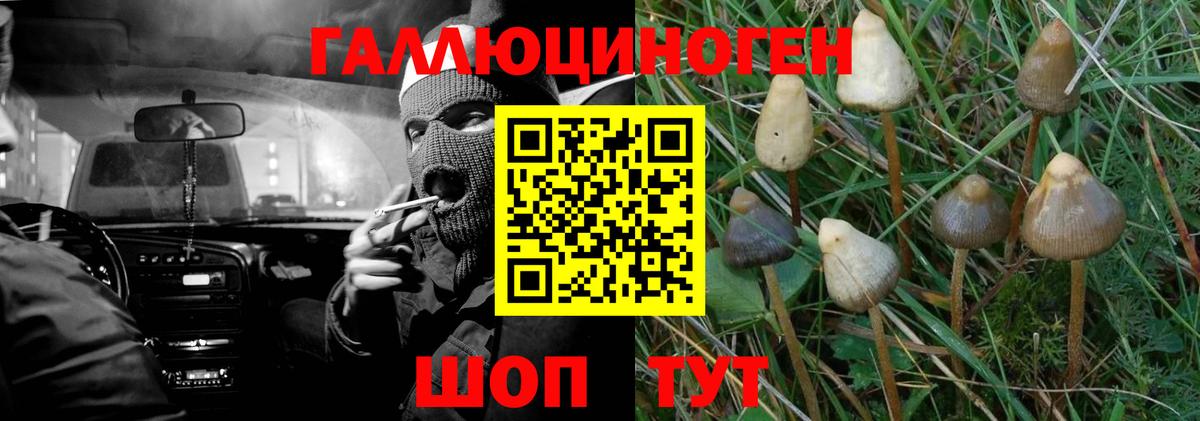 Меф МЯУ МЯУ кристаллы  Первоуральск  Вход с VPN  ГАШИШ  Конопля 